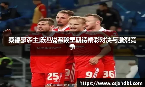桑德豪森主场迎战弗赖堡期待精彩对决与激烈竞争